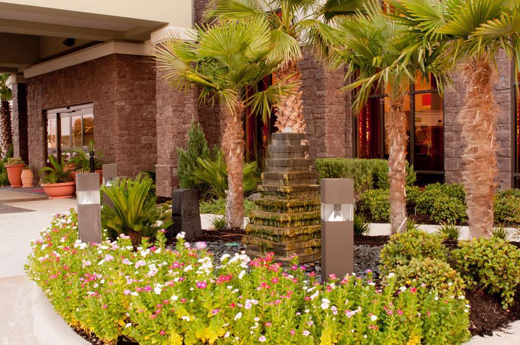 Hampton Inn & Suites Shreveport Bagian luar foto